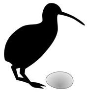 Kiwi Bird Egg