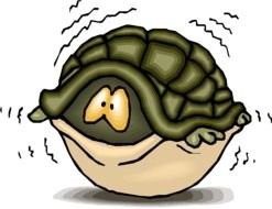 Scared Turtle