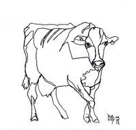 Cow Line Drawing