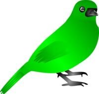 Green Bird Clip Art N6