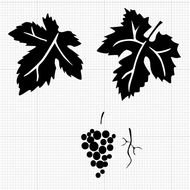 Grape Vine Leaves Clip Art N7