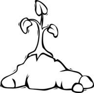 Black And White Plant Clip Art N8