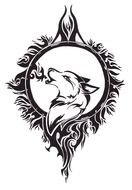 Catcher Wolf Tattoo Drawing