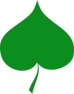 Spring Leaf as graphic illustration