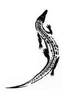 Black and white drawing of the crocodile tattoo clipart