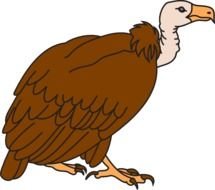 Vulture Clip Art Free N6