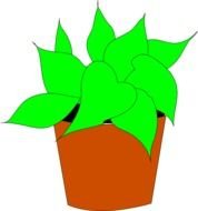 House Plant Clip Art drawing