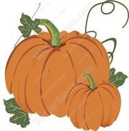 Orange Large And Small Pumpkin Together Surrounded By Green Vines