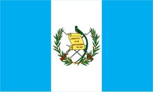 painted rectangular blue white Guatemala flag