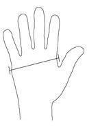 Baby Left Hand drawing