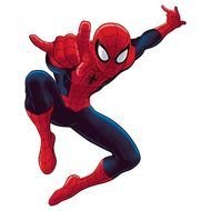 Spider Man Cartoon N16