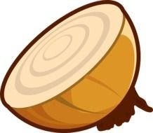 Onion Clip Art N53