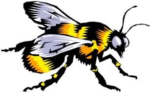 Bee Coloring drawing