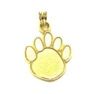 Penn State Paw Print N3