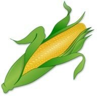 Corn Clip Art N57