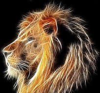 Lion Graphic Art N2