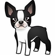 Boston Terrier Cartoon N2
