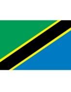 Tanzania Flag color drawing