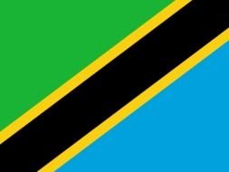 Flag of Tanzania clipart