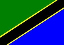 Tanzanian Flag, drawing
