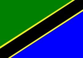 Clip art of Tanzania Flag