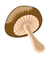 Clip art of Mushroom