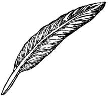 Writing Quill drawing