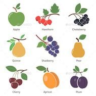 GraphicRiver Fruits And Berries 8982092