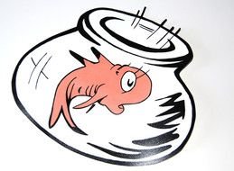 painted pink fish in an aquarium