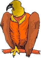 Vulture Bird