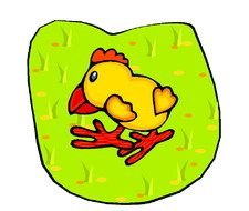 Ä°llustration of Chicken on a field