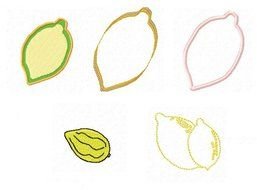 Lulav And Etrog N2
