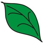 Tree Leaf Clip Art N7
