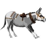Donkey Clipart 7 600 times600