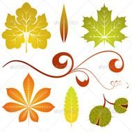 Autumn Leaves Drawings