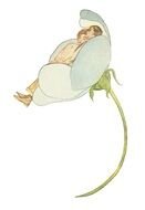 sleep in Vintage Flower drawing