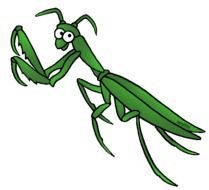 Praying Mantis Clip Art N19