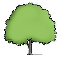 Elm Tree Clip Art N3