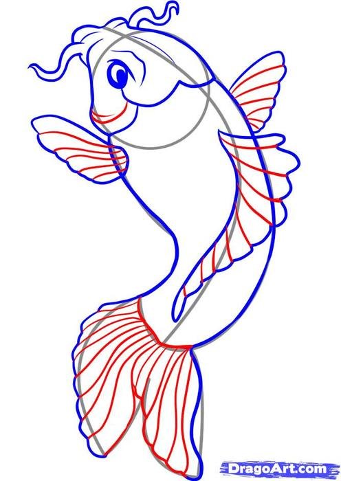 Koi Fish Drawing Step By