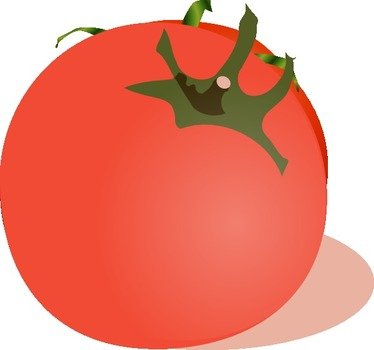 Tomato Clip Art N77