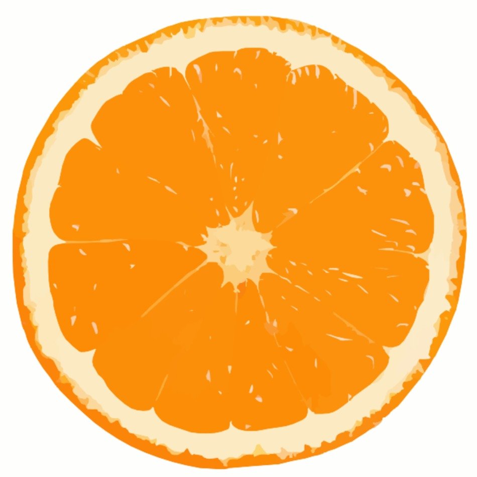 Orange Fruit Cartoon Clip Art