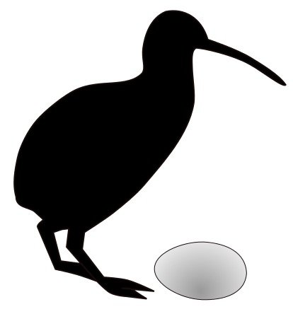 Kiwi Bird Egg