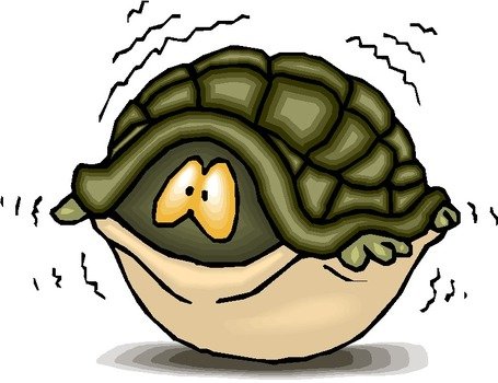 Scared Turtle