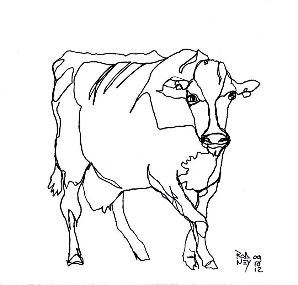 Cow Line Drawing