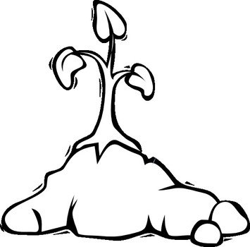 Black And White Plant Clip Art N8