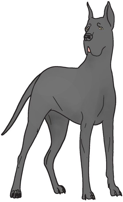 drawn gray mastiff on a white background