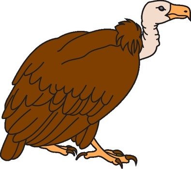 Vulture Clip Art Free N6