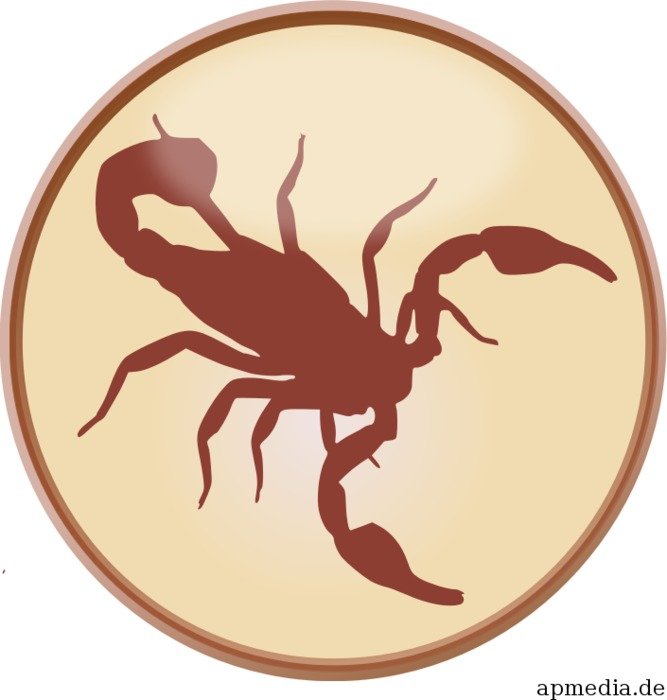 Scorpio Sign Art