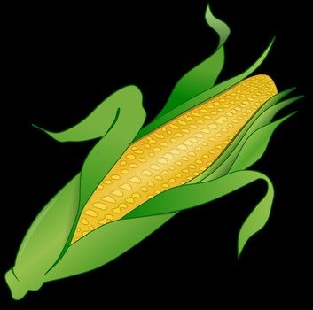 Corn Clip Art N57