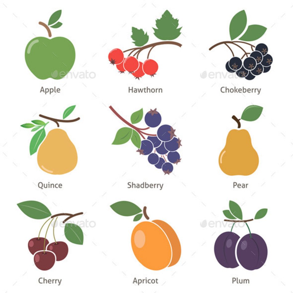 GraphicRiver Fruits And Berries 8982092
